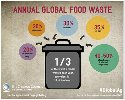 Annual Global Food Waste - Fondazione Romagnosi