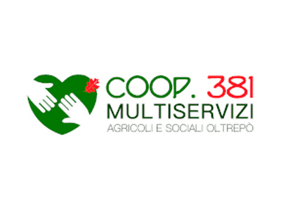 Cooperativa 381