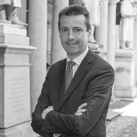 Prof. Andrea Bollani - Comitato Scientifico Fondazione Romagnosi