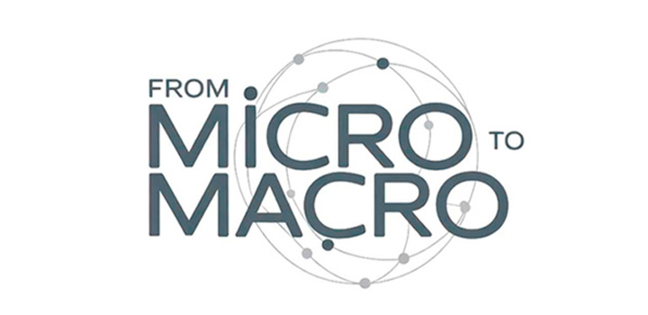 From Micro to Macro - Progetto Fondazione Romagnosi, Rassegna stampa La provincia Pavese