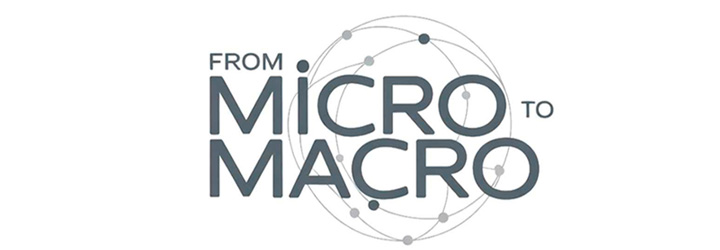 From MICRO TO MACRO (progetto 2025-2026). Progetto, Fondazione Romagnosi, Scuola di Governo Locale, Pavia