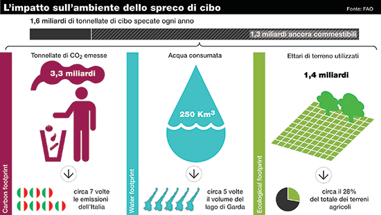 L'impatto sull'ambiente dello spreco di cibo - Fondazione Romagnosi